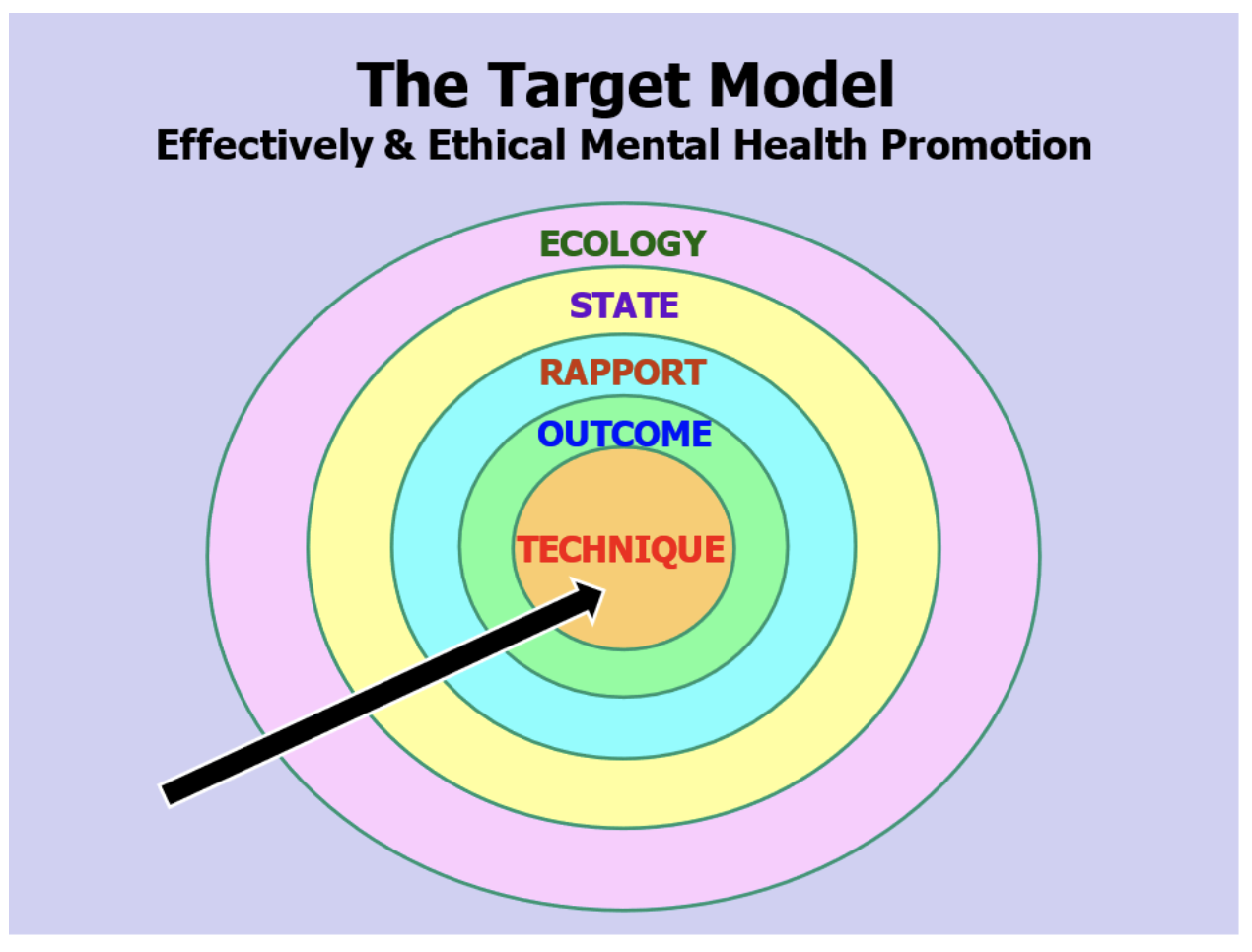 The Target Model