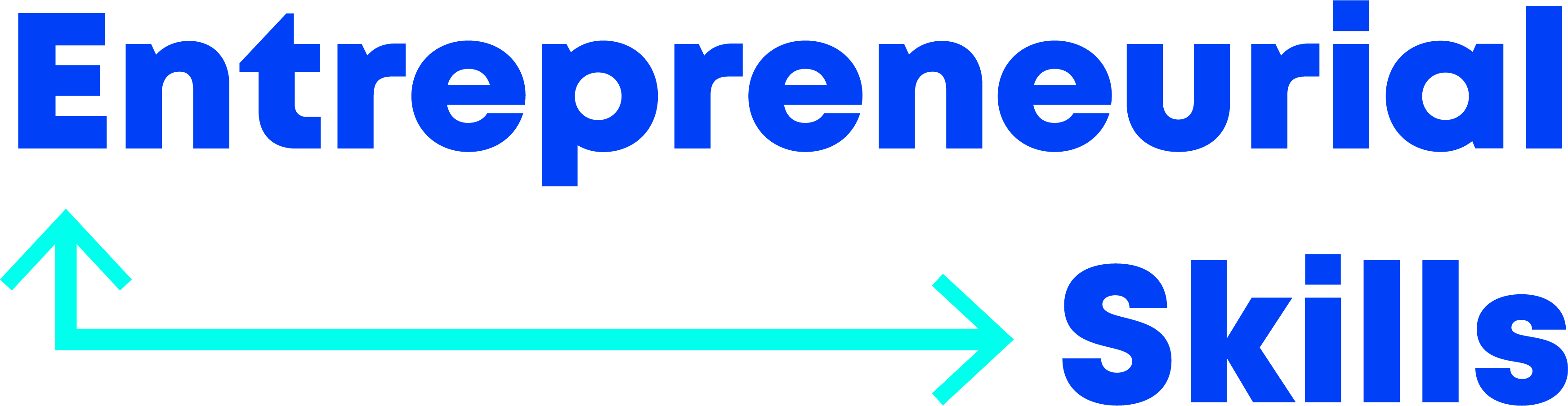 logo Digital technology for entrepreneurial skills in adult education